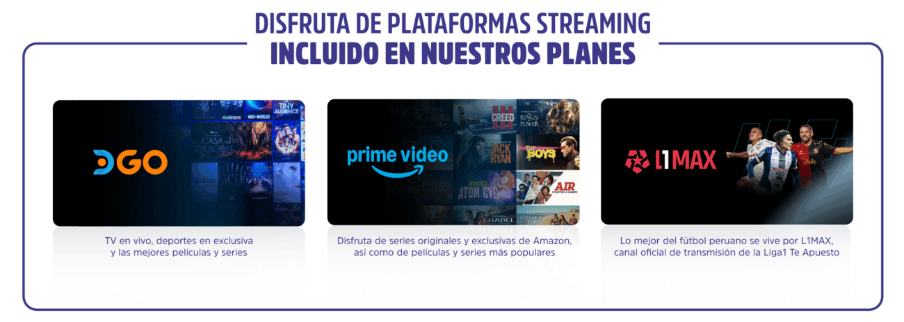 Medios de pago oficiales